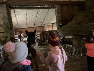 448167651_960566912530885_4985193158151370081_n